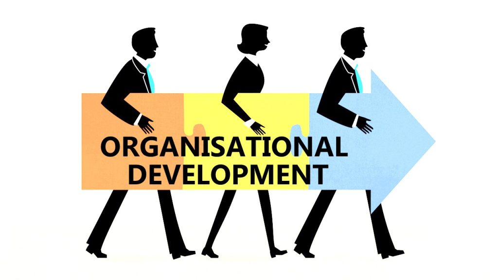 كورس التطوير التنظيمي OD